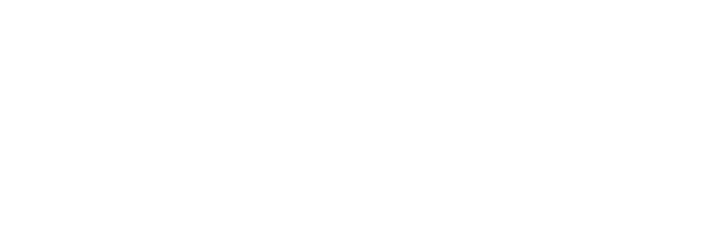 Carme GmbH – Ihr Partner für Unfallwagen aus Berlin